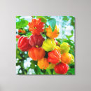 Recherche de cayenne posters Décoration