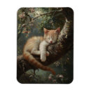 Recherche de chaton magnets Drôle