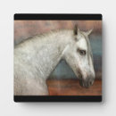 Recherche de portrait cheval plaques Équin