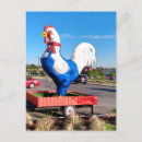 Recherche de coqs cartes postales Poulet