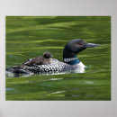 Recherche de affection posters Soins