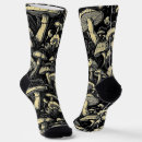 Recherche de champignon chaussettes Moderne