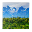 Recherche de majestueux carreaux Image de couleur