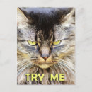 Recherche de féroce cartes postales Humour