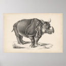 Recherche de faune art Rhinocéros