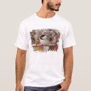 Recherche de mésanges tshirts Faune