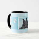 Recherche de berger belge tasses Chiot