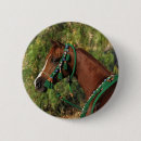 Recherche de cheval arabe badges Plomb langrish