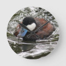 Recherche de bleu canard horloges Faune