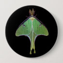 Recherche de luna badges Papillon
