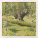 Recherche de ours dessous de verres Nature