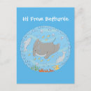 Recherche de dessin de dauphin cartes postales Mignon