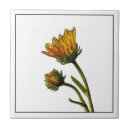 Recherche de bourgeon carreaux Floral