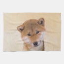 Recherche de shiba inu cuisine linges Chiot