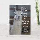 Recherche de humour de chèvre vœux cartes Mignon