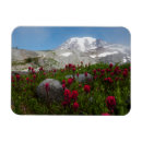 Recherche de ken magnets Washington state