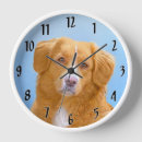 Recherche de le canard horloges Chien
