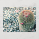 Recherche de ventura cartes postales Travel