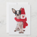 Recherche de chiwawa noël cartes Chien de recouvrement