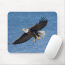 Recherche de aigle en vol tapis souris Animal