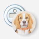 Recherche de chiot bar Dog
