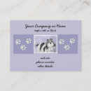 Recherche de shih tzu cartes visite Chiot