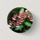 Recherche de orchidée badges Plante