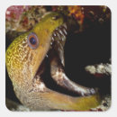 Recherche de maldives autocollants Vertical