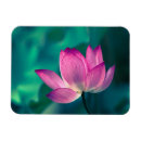 Recherche de fleur de lotus magnets Pétale