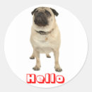 Recherche de chien de carlin autocollants Pour tous