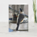 Recherche de mésange cartes postales Oiseaux