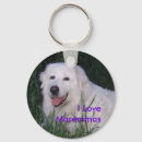 Recherche de délivrance accessoires Copie