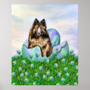 Recherche de tervuren posters Chien