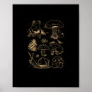 Recherche de dessins de grenouille posters Champignons