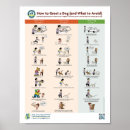 Recherche de dog owner posters Pet