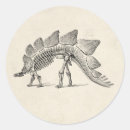 Recherche de squelette de dinosaure autocollants Histoire