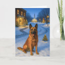 Recherche de berger malinois vœux cartes Pour tous