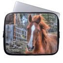 Recherche de équin coques Amoureux des chevaux