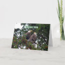 Recherche de projecteur vœux cartes Scout