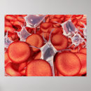 Recherche de globules rouges art La science