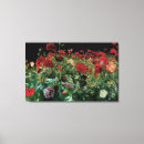 Recherche de pavots art Coquelicot