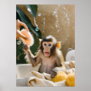 Recherche de singes mignons posters De singe mignon
