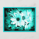 Recherche de marguerite turquoise cartes postales Aqua