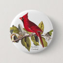 Recherche de cardinal du nord badges Oiseau