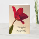 Recherche de désolé vœux cartes Floral