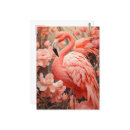 Recherche de rose flamant cartes postales Nature