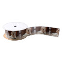 Recherche de chiots rubans Chiens