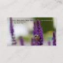 Recherche de cascade cartes visite Nature