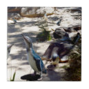 Recherche de sécurité carreaux Oiseau