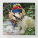 Recherche de chiot horloges Horizontal